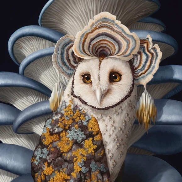 Meet your Posher, Caleb - Picture 1 of 1